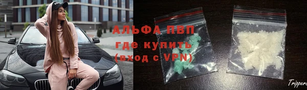 стаф Каменск-Шахтинский