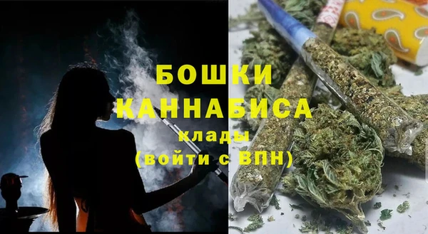 стаф Каменск-Шахтинский