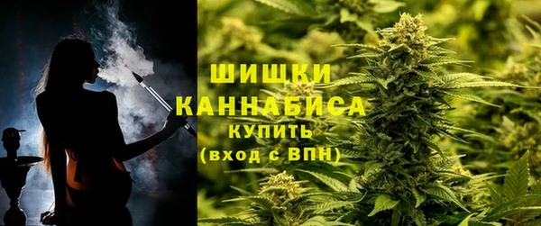 стаф Каменск-Шахтинский