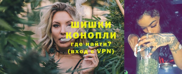 стаф Каменск-Шахтинский