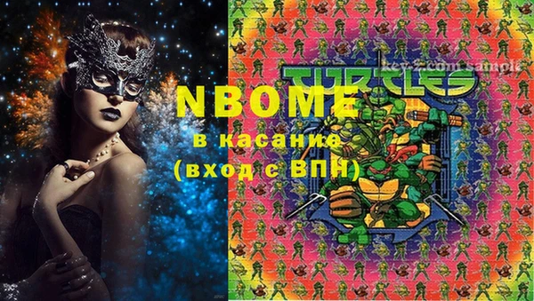 стаф Каменск-Шахтинский