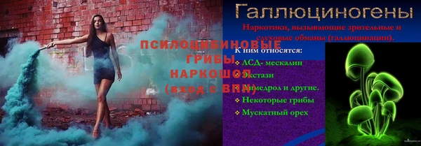 стаф Каменск-Шахтинский