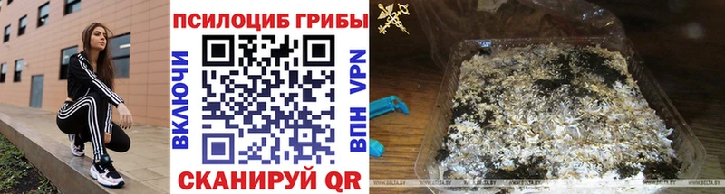 Псилоцибиновые грибы MAGIC MUSHROOMS  Купить закладки  Михайловск 