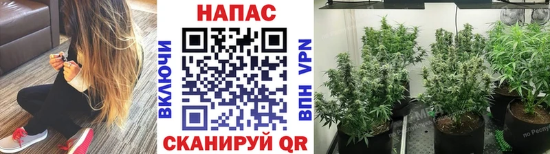 Каннабис VHQ  Купить где  Михайловск 